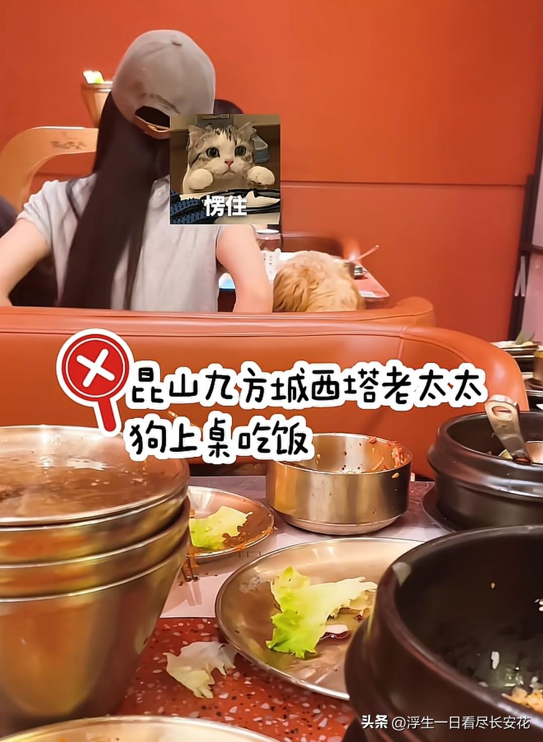 江苏苏州花园城购物中心的一家店里，再次惊现狗上桌。依然是店内其它食客猛地一抬头就