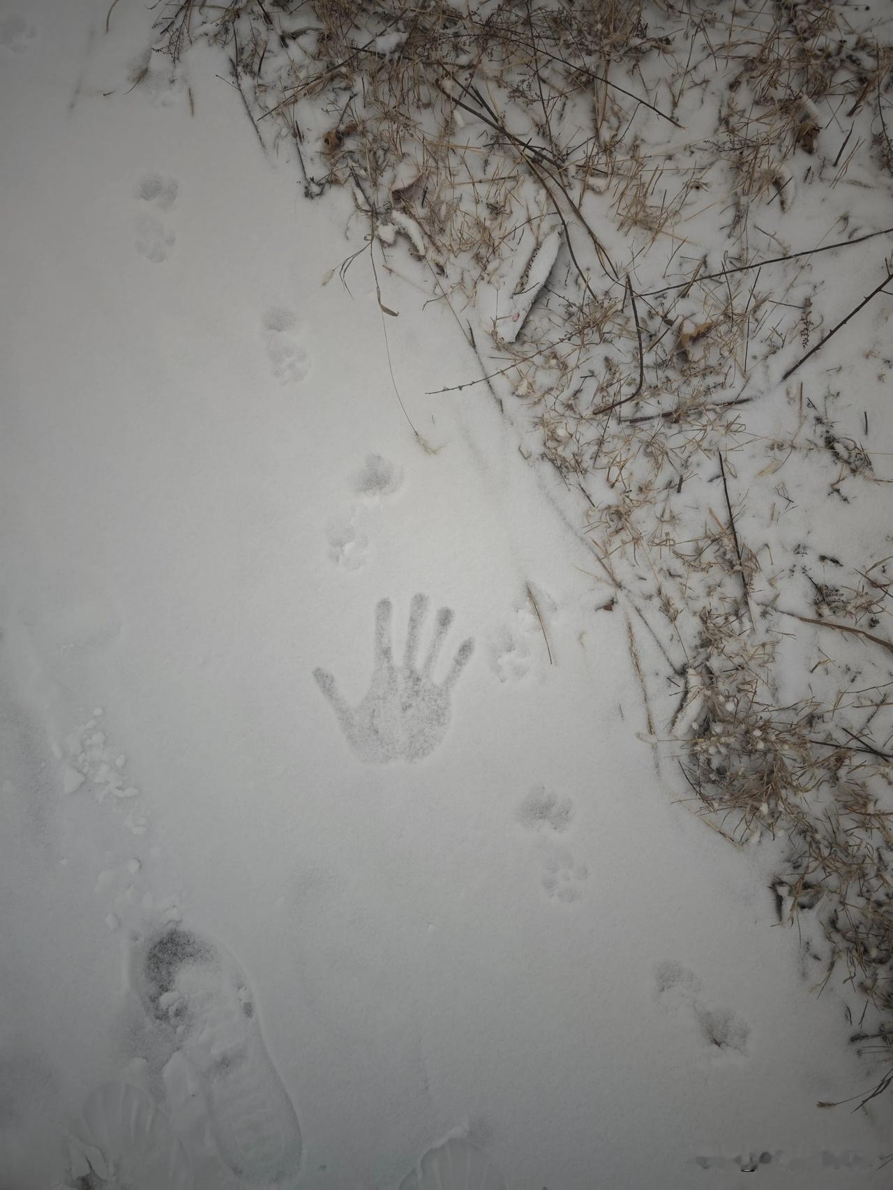 我一直深信，多行不义必自毙。你在能耐，做很多害人事，总会有天收。

我是信因果的