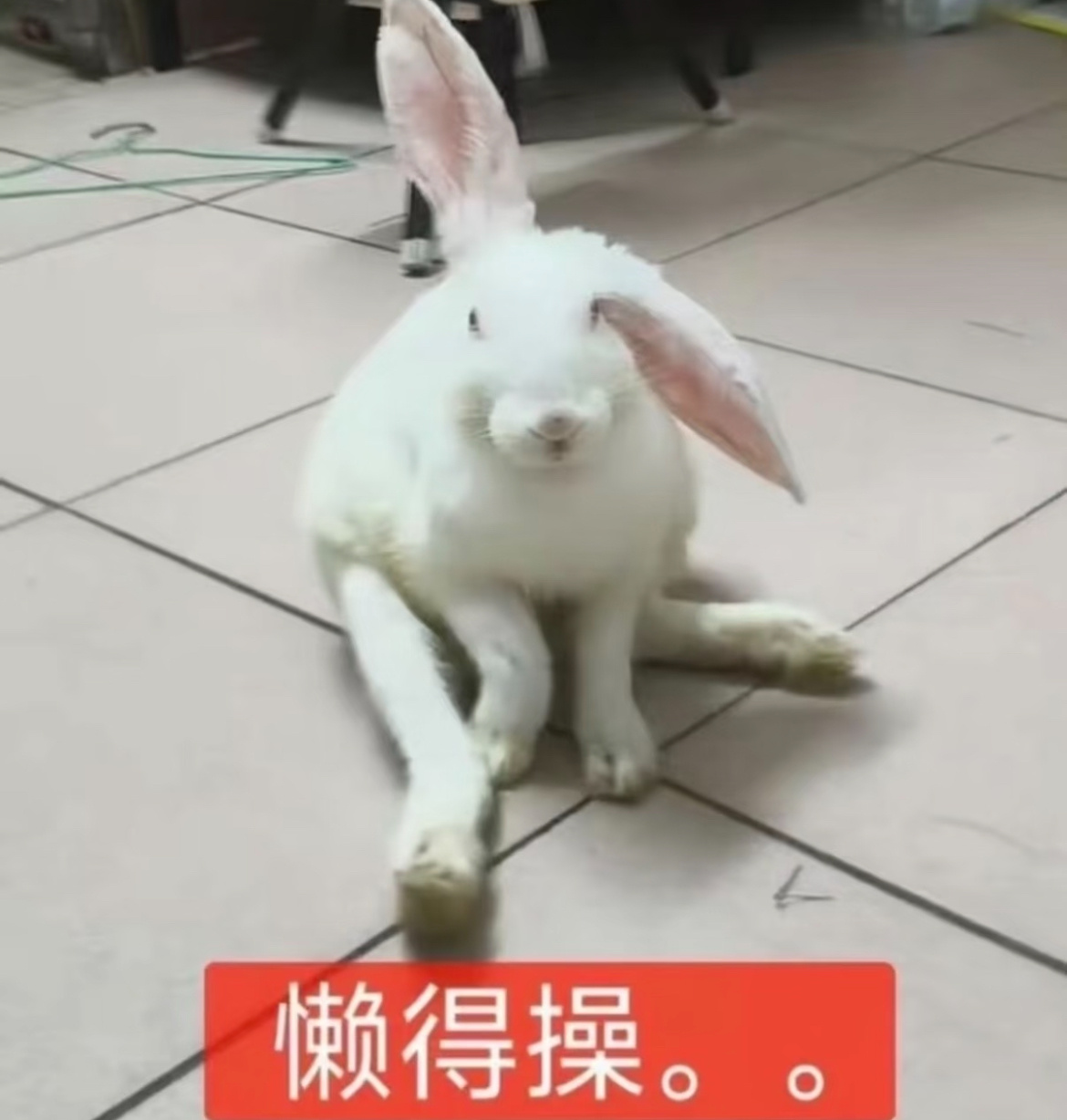 媳妇们能看到我的置顶吗 ​​​