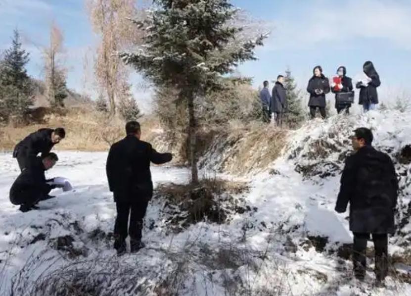 甘肃马某林案大反转：从十年到死缓，正义如何 “归位”？

近日，甘肃省高级法院对