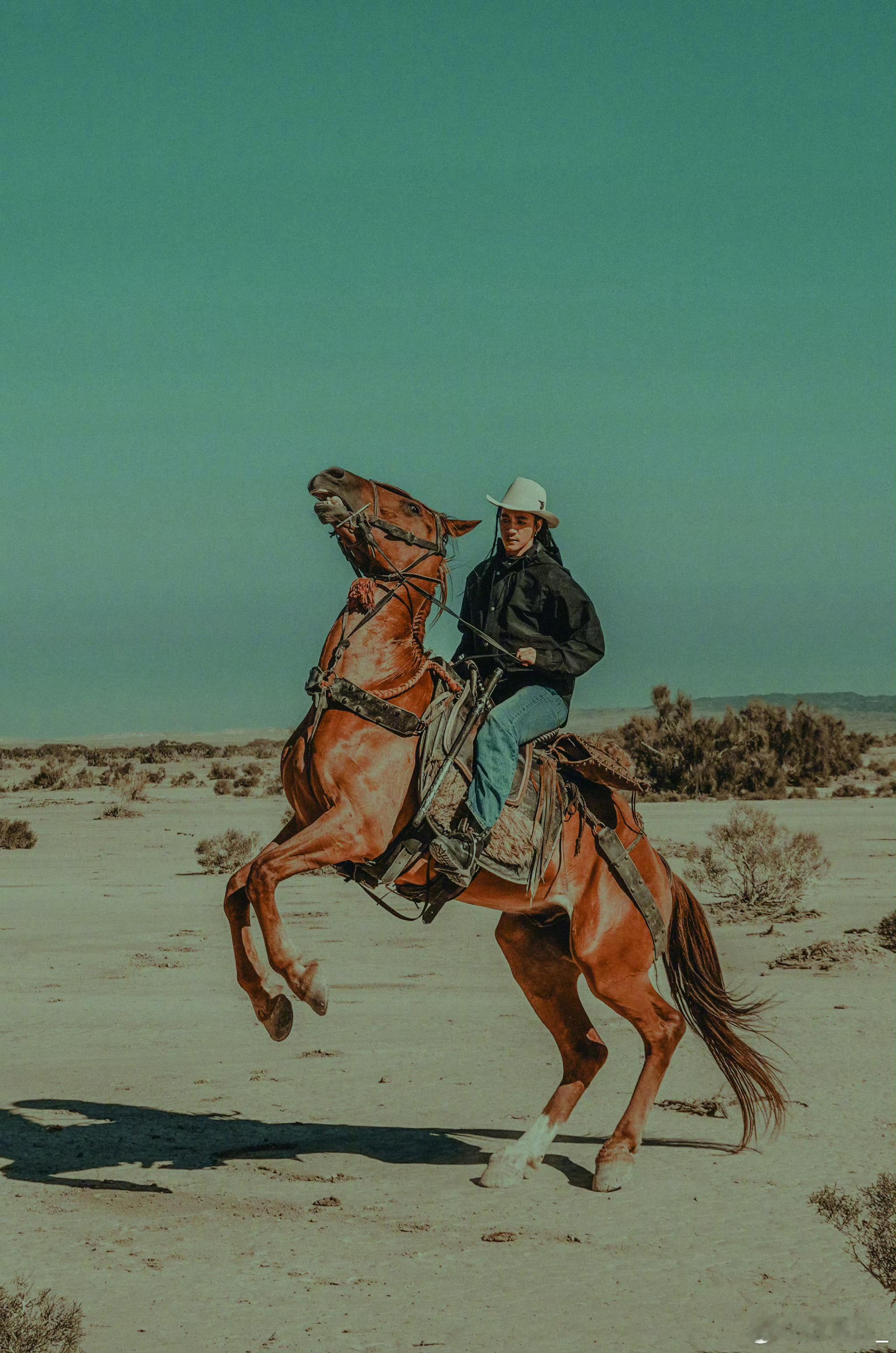 此沙已争气争气再争气 辞家千里又千里，这句话在他身上太重了，从只有一两个镜头的龙