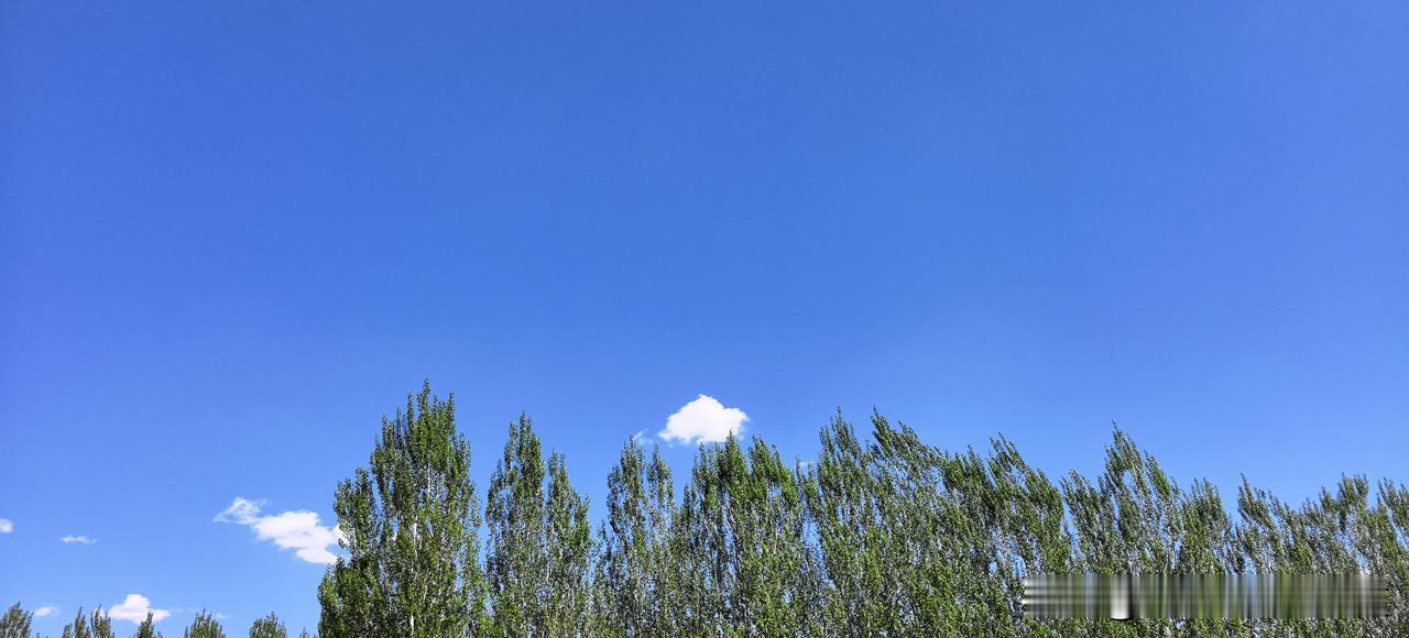 分重点班和普通班，弊端到底有多大按学习成绩，把同一起跑线上的学生化分出三、六、九