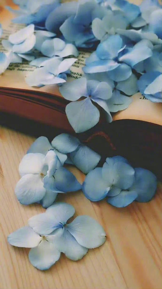 “知命”这个词不必理解得太高大上了，直接理解为“我是尘埃”，于是，一切都云淡风轻