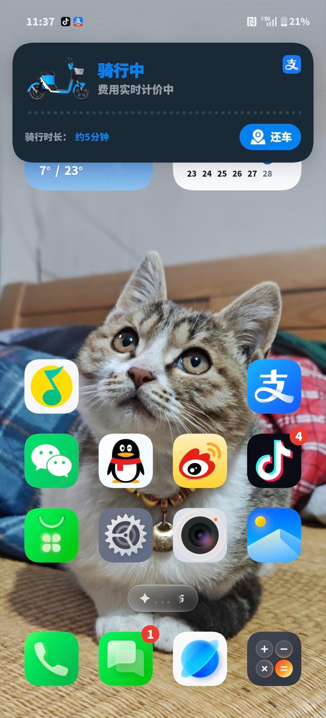 支付宝小程序也上岛了，一目了然挺方便 