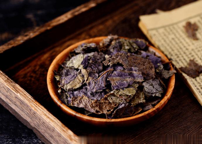 #每天一味中草药# 紫苏此叶全身都是宝，祛湿解暑，和胃助睡眠！炒菜、茶饮、入药都