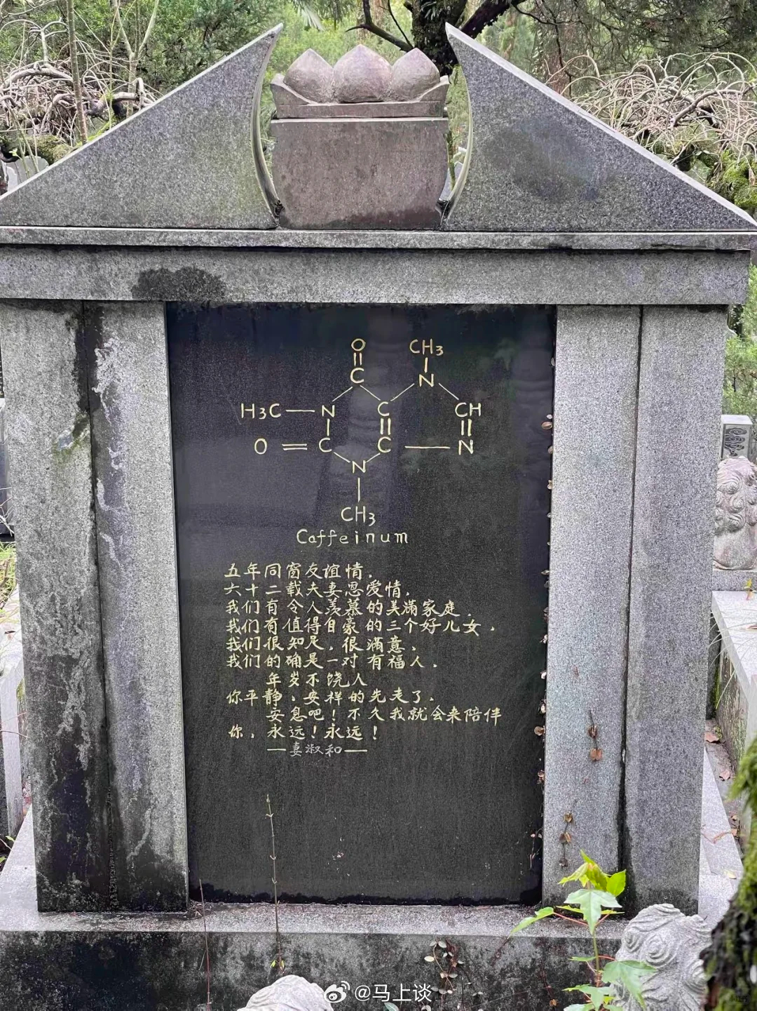 理工科的爱情。一张刻着咖啡因分子结构的墓志铭，上面是妻子对去世丈夫深情的悼词，值