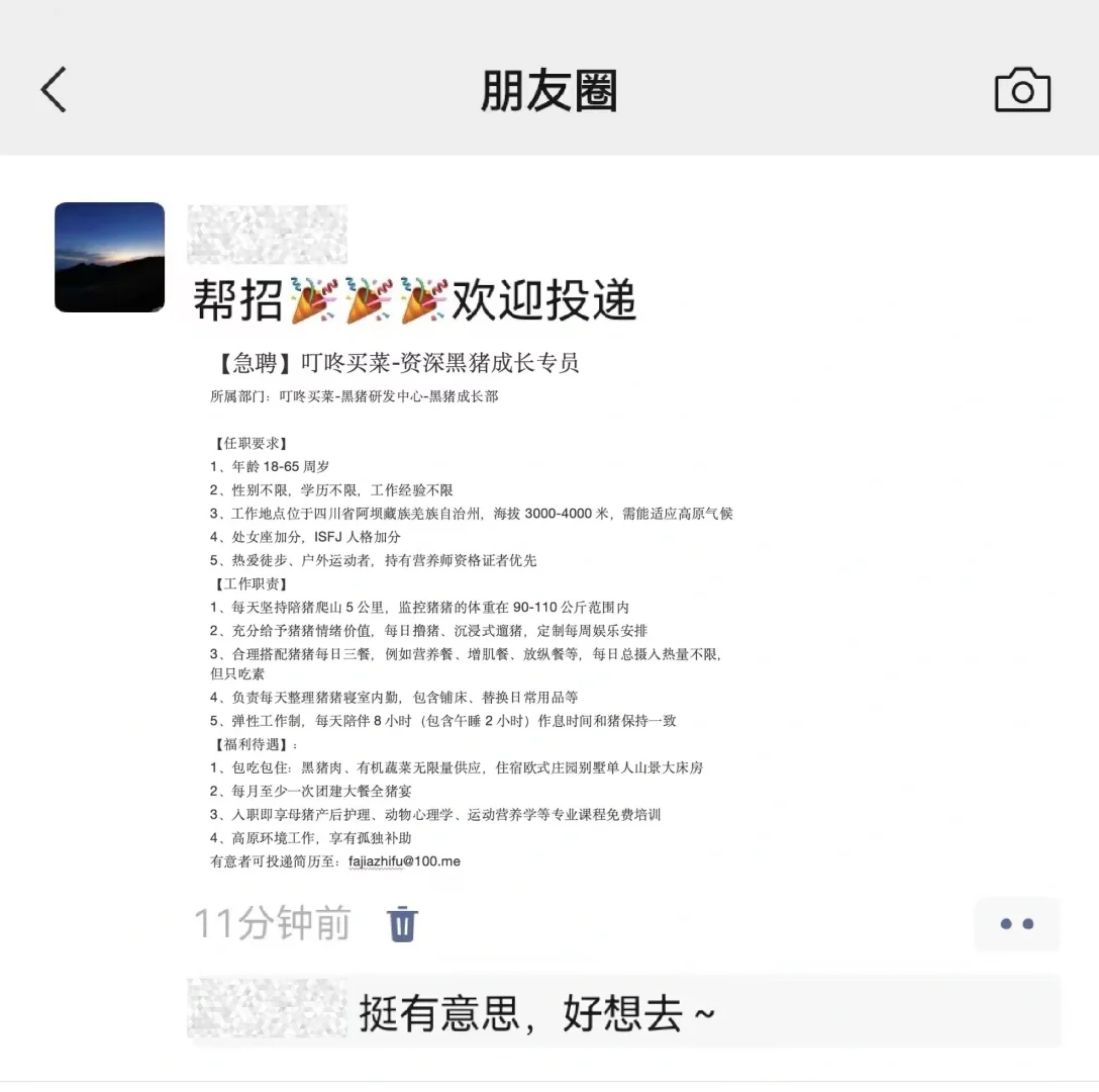叮咚买菜真的癫？这是给黑猪招保姆？