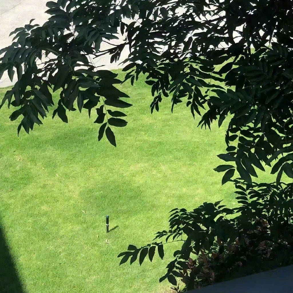 顺，这是你收获的季节 ​​​
