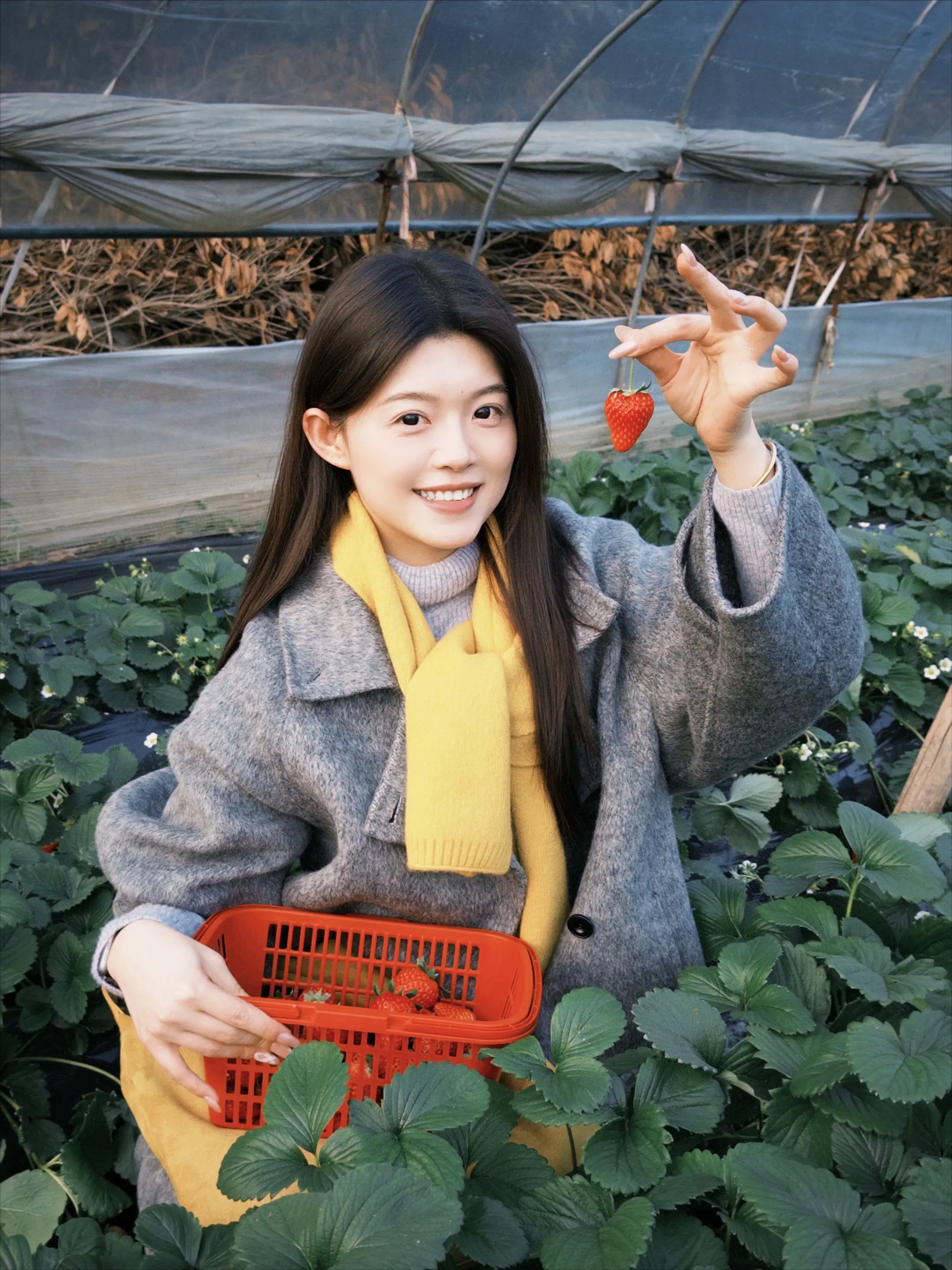 报告BB 今天摘了草莓哦🍓