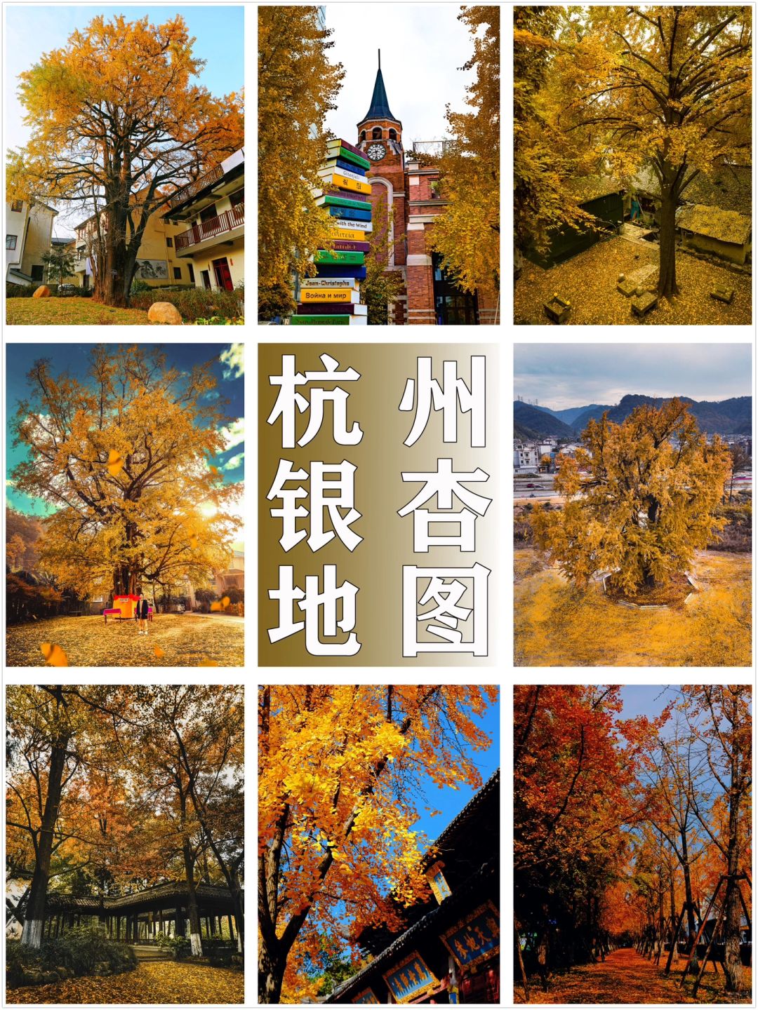 2023杭州银杏地图｜11个绝美打卡点，必收藏❗️