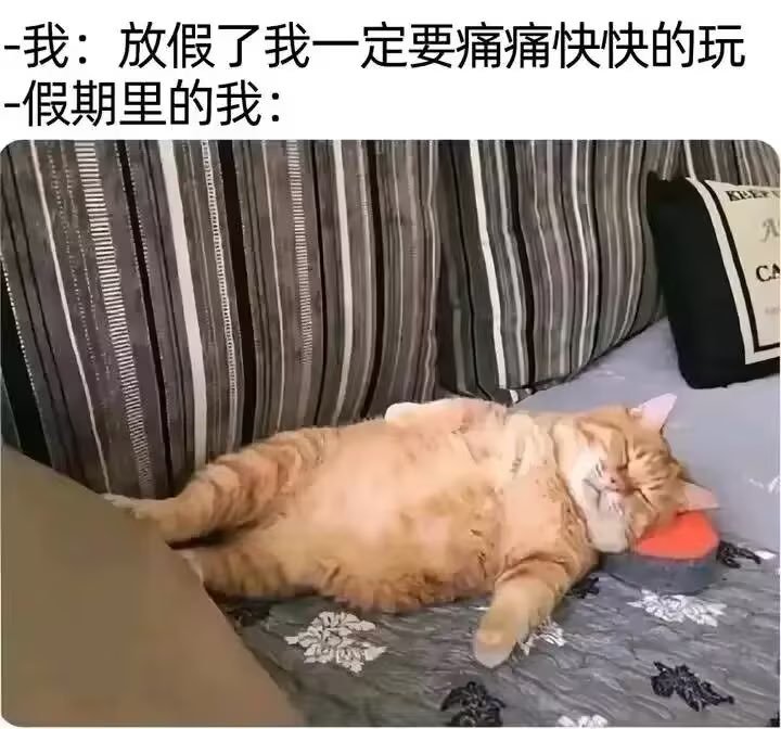 每一周的周末我都如此： 