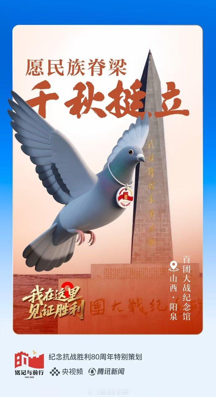 放飞和平鸽向英烈致敬放飞和平鸽领取专属证书 一段历史浸满血与火，一种精神闪耀光与