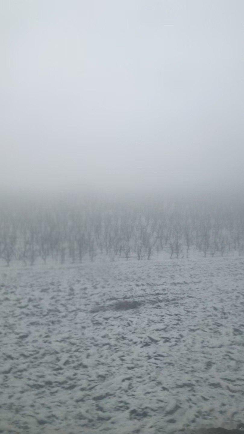 四书是指《大学》、《中庸》、《论语》和《孟子》； 五经是指《诗经》、《尚书》、《