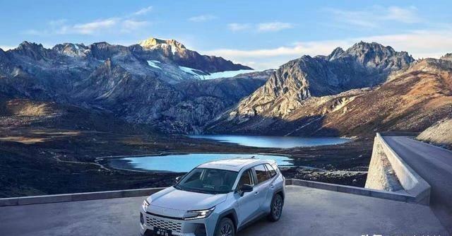 世界五大车企：第1名、特斯拉：美国第2名、丰田：日本第一
2025年全球车企销量