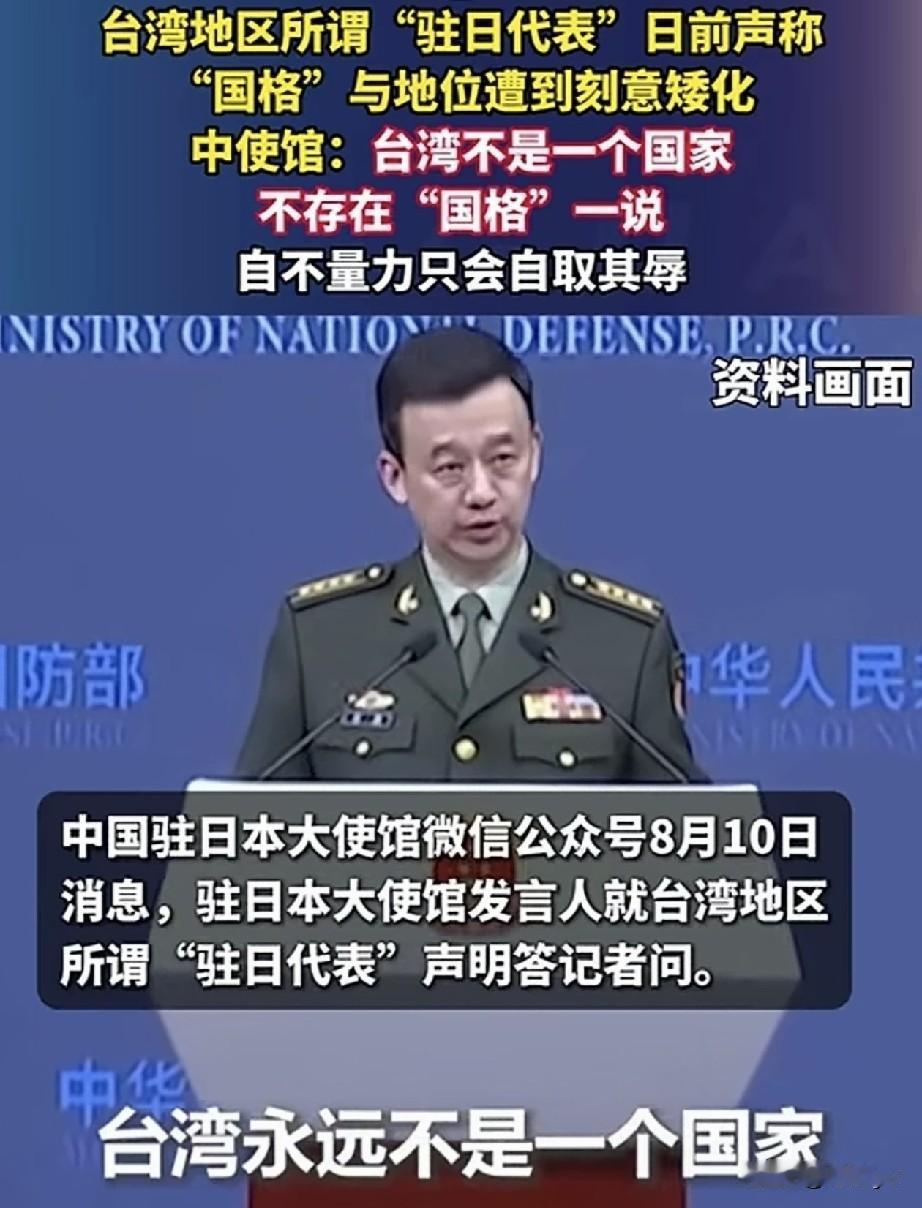 台湾不是国家，不存在“国格”一说。8月10日，中国驻日使馆发言人就台湾地区所谓“