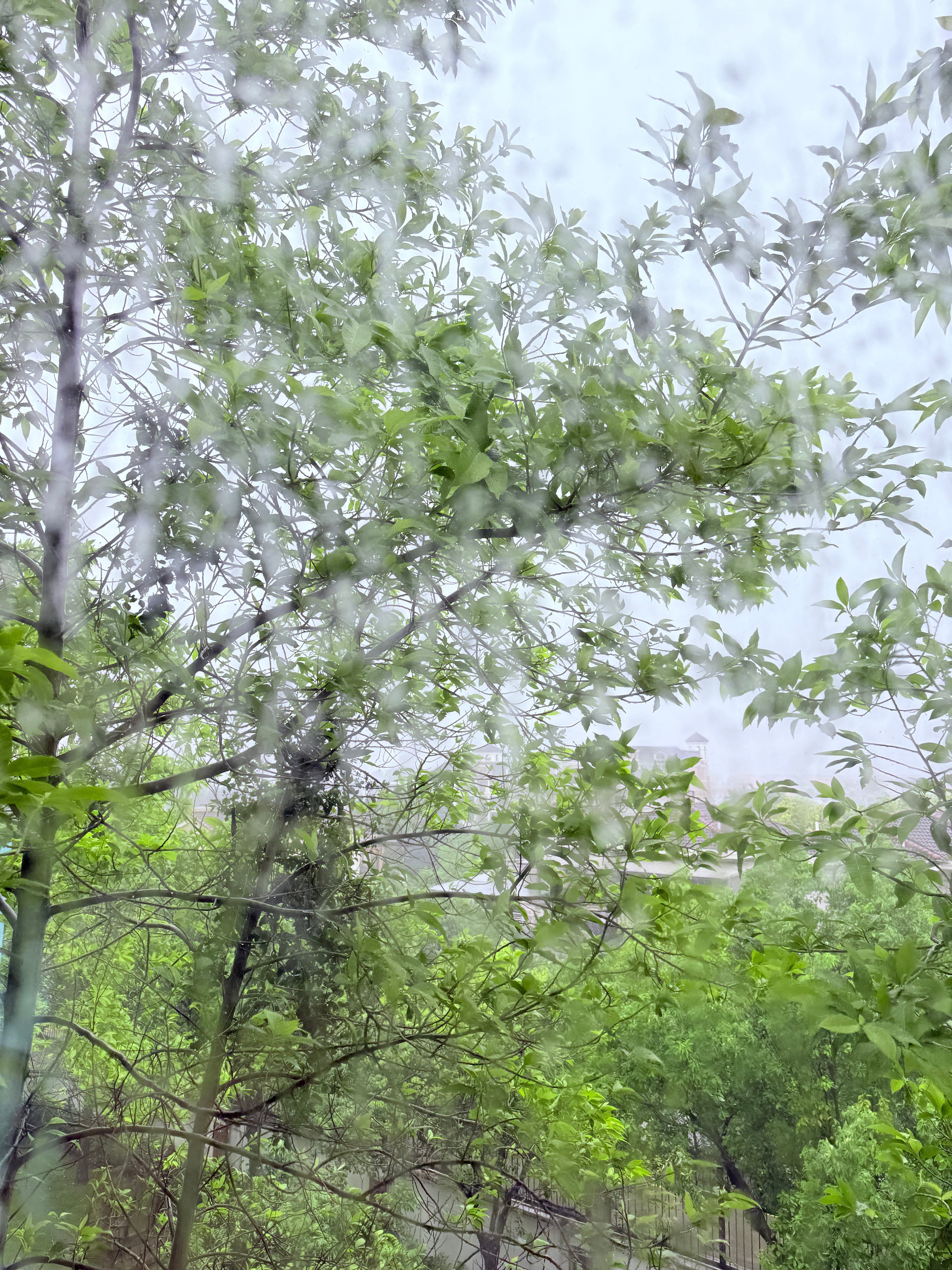 刚刚还是蓝天白云，现在大风大雨！