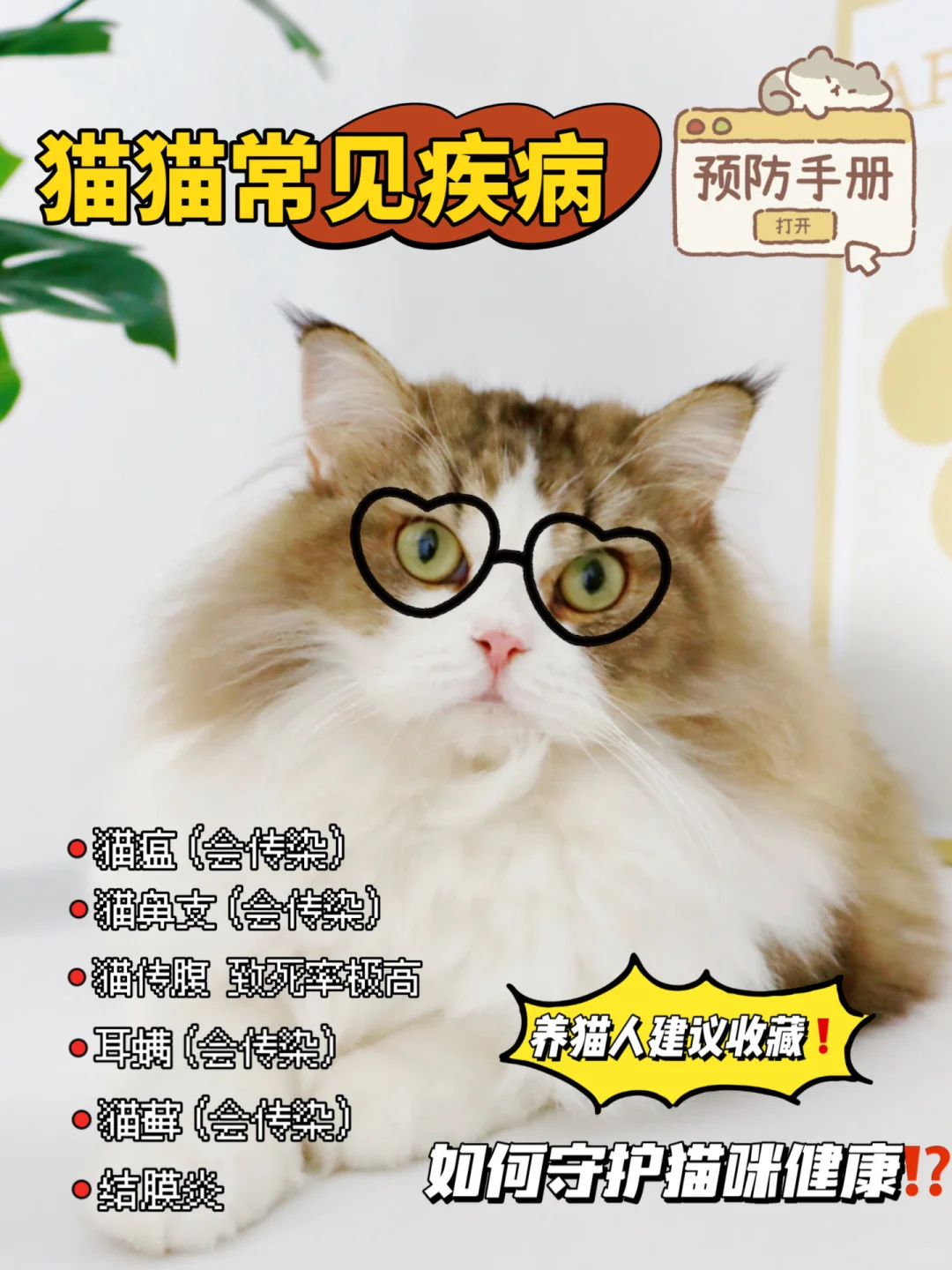 猫猫常见疾病！预防手册铲屎官速存！