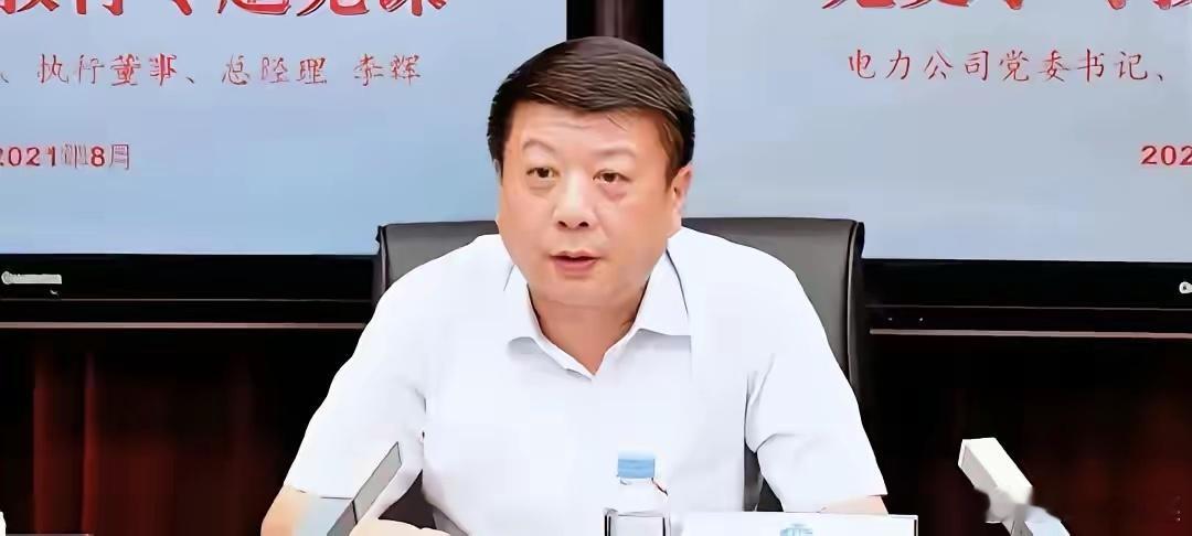 电力经不起查啊，又一个大佬出问题了！今日消息，中煤电力有限公司董事长李辉进去了。
