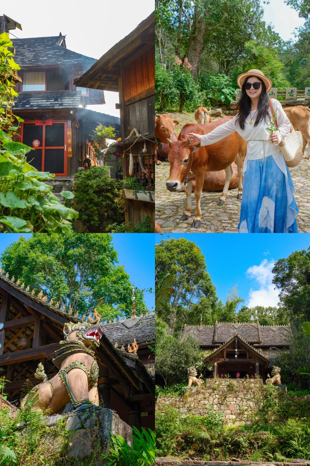 普洱周末游之旅🍃这座城市真的太值得了❗