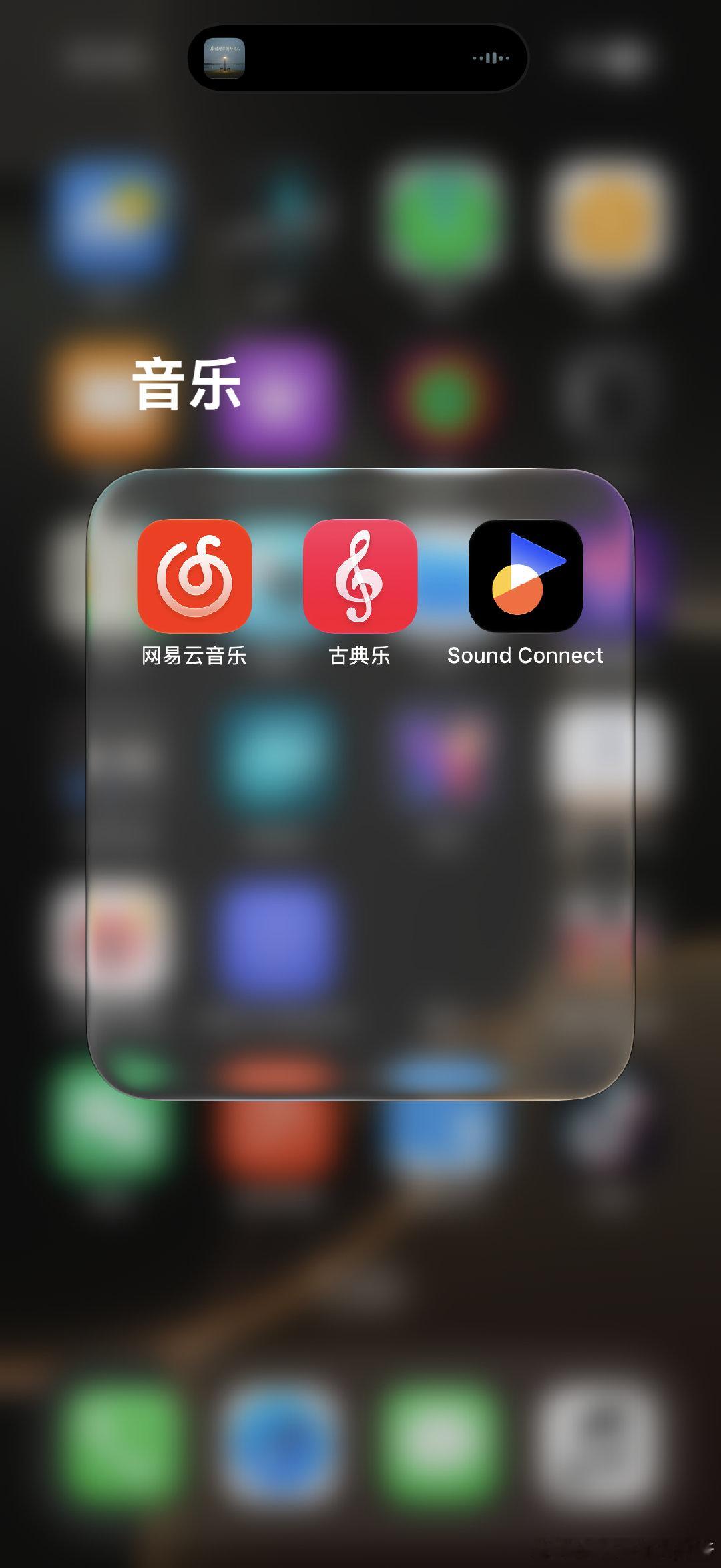 网易云音乐 长期苹果音乐🎵会员，还是网易云音乐的黒胶会员，参加活动又送了QQ音