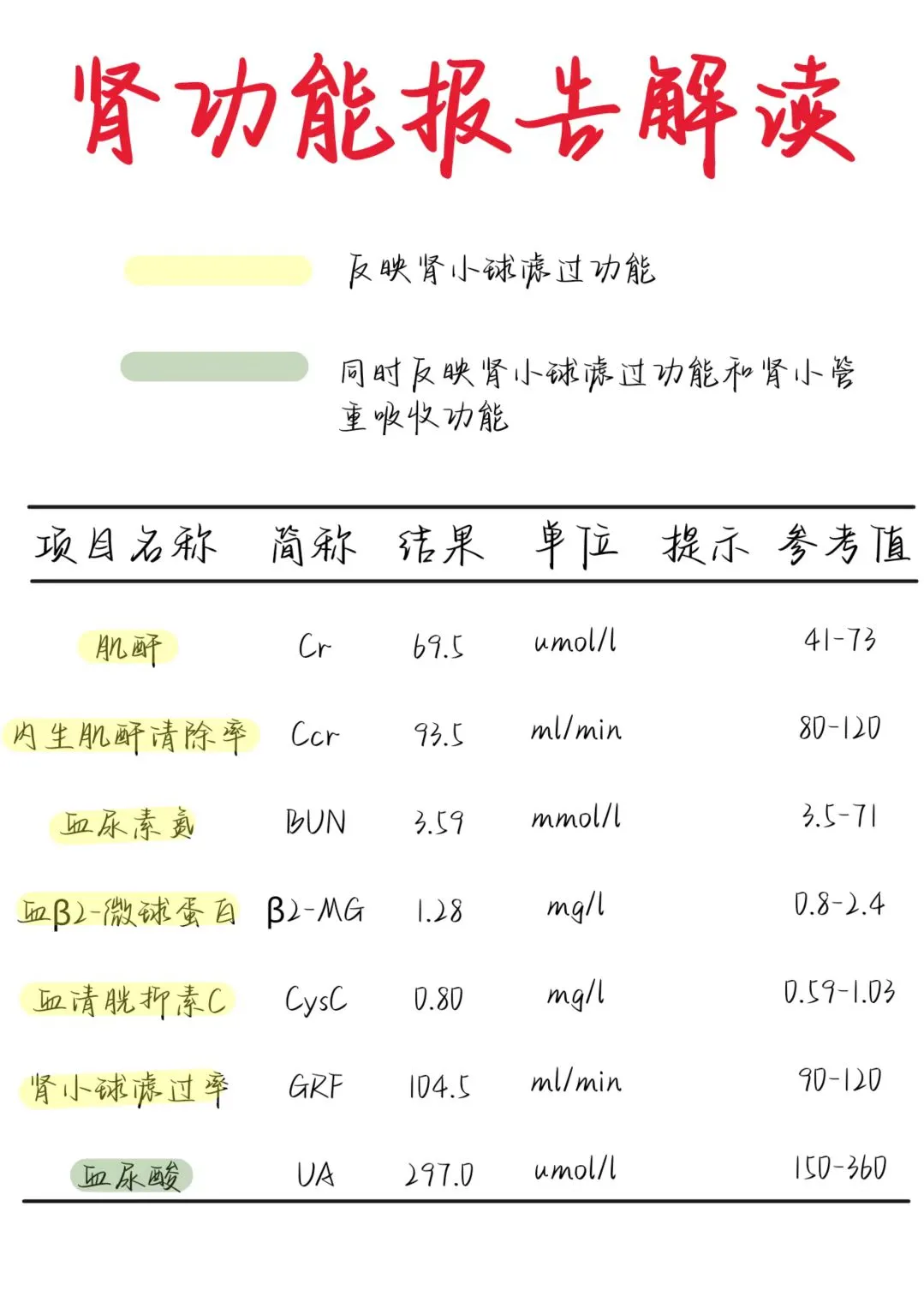 医学生笔记——肾功能报告解读