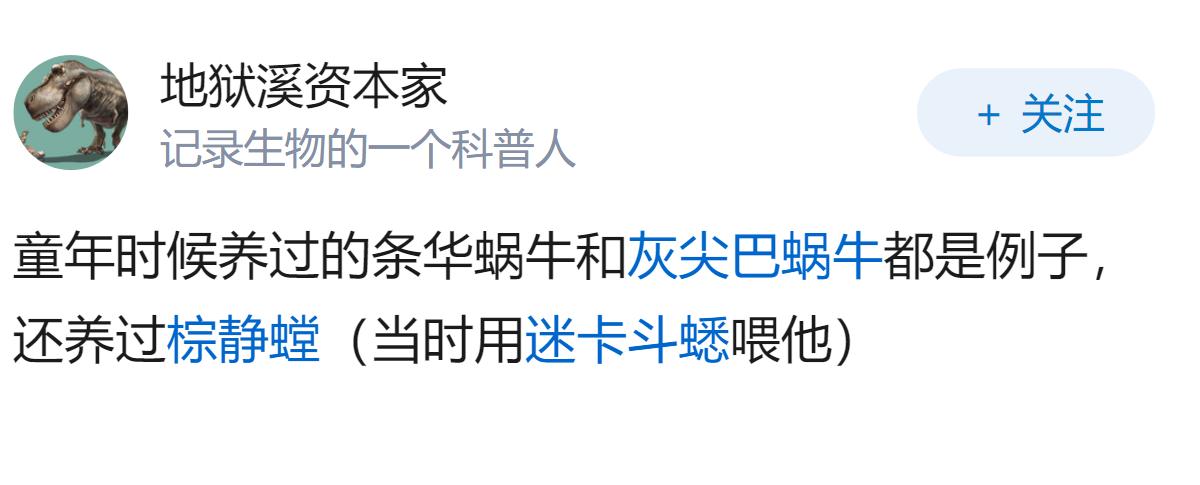 你低成本养过什么小动物？