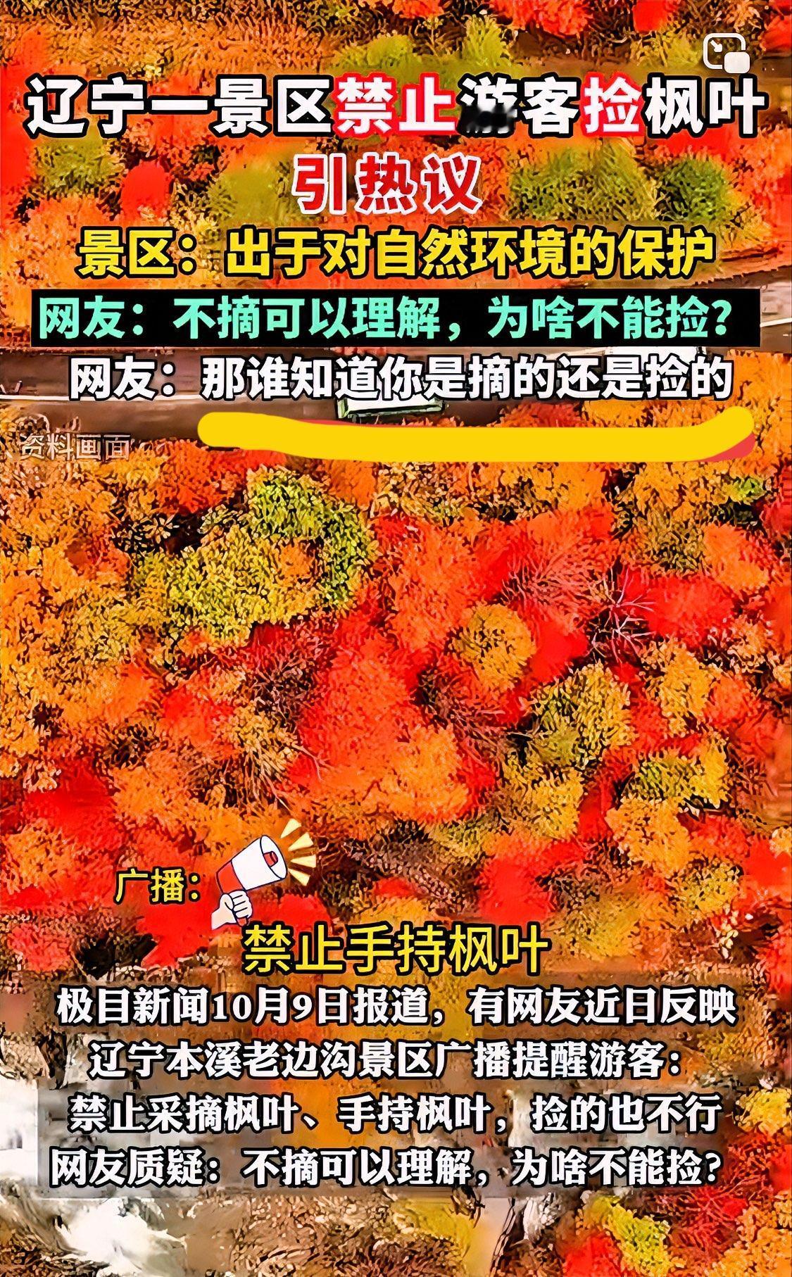 辽宁一景区禁止游客采摘枫叶、手持枫叶，捡的也不行。按照景区的回应，是出于对自然环