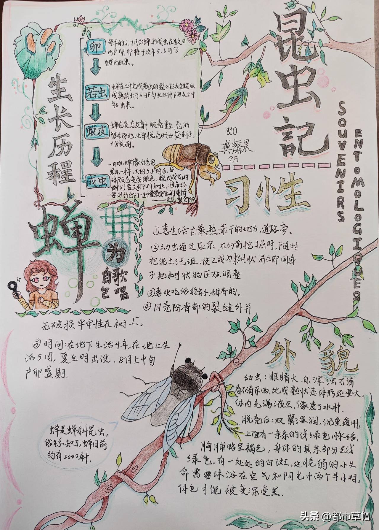 生活就是这样，有挫败，也有惊喜。昨天为一些孩子没有带课本到校而不悦，今天还为一些
