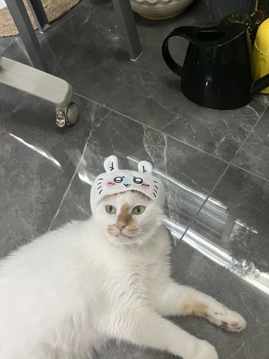 Chiikawa猫咪头套！