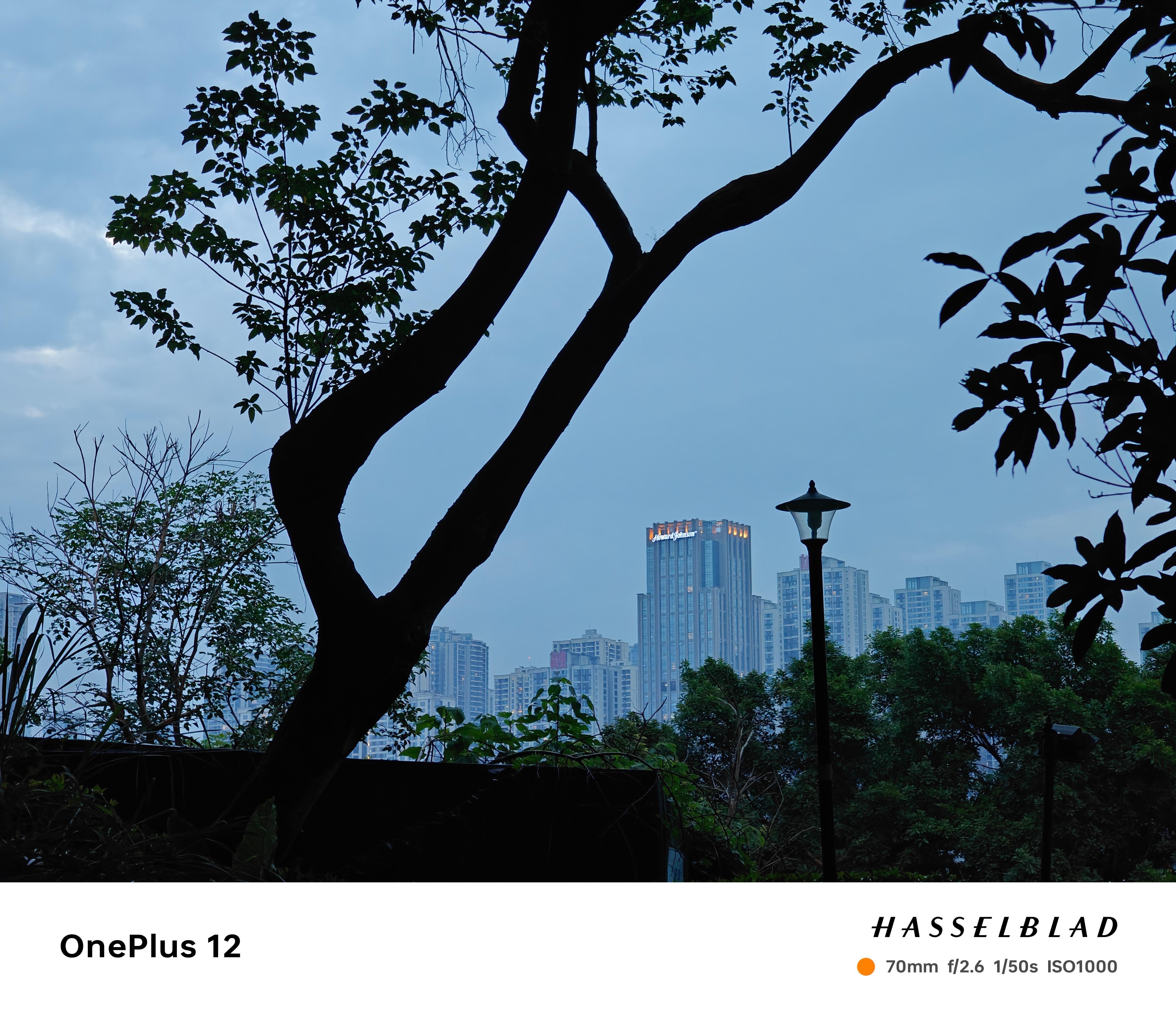 蓝调之树拍摄完后回家途中遇到的美景，蓝色的天空，和树深邃的剪影，整个画面很治愈#