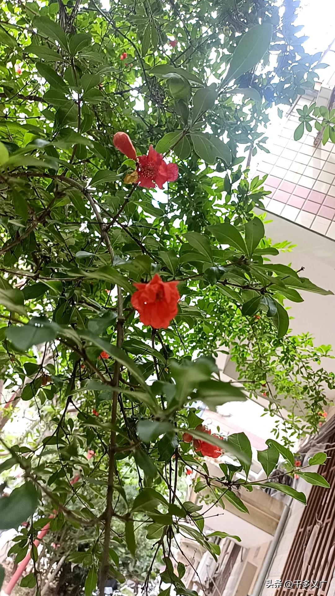 上联：浅浅深深河中水，有请下联高高低低岭上云。