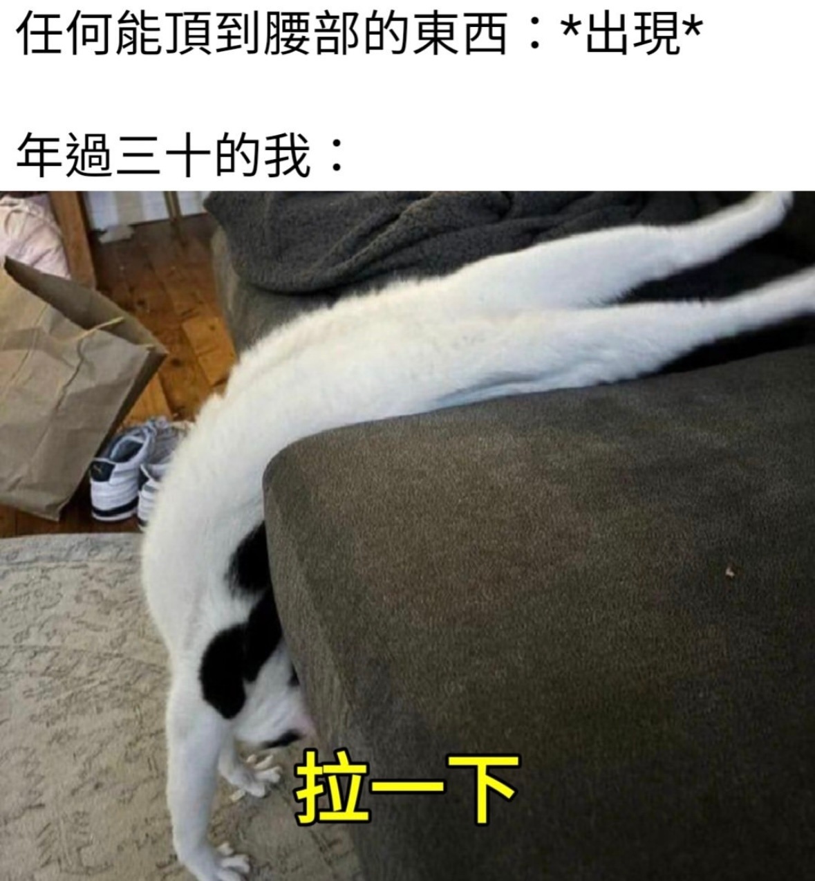 我现状memes ​​​