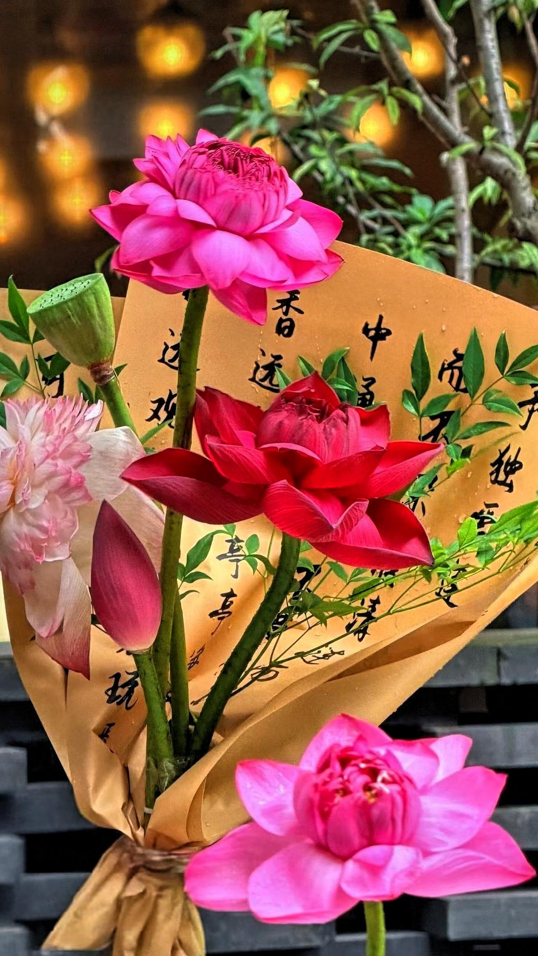 [助威彩旗][烟花][烟花][烟花][烟花][烟花][烟花][烟花]粉嫩的花朵与
