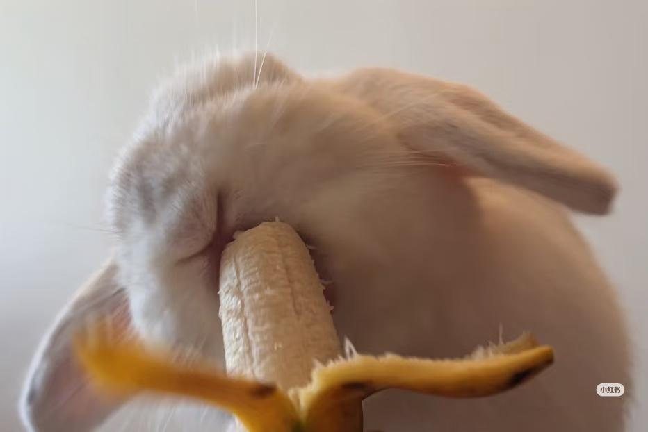 全霖吃蕉 