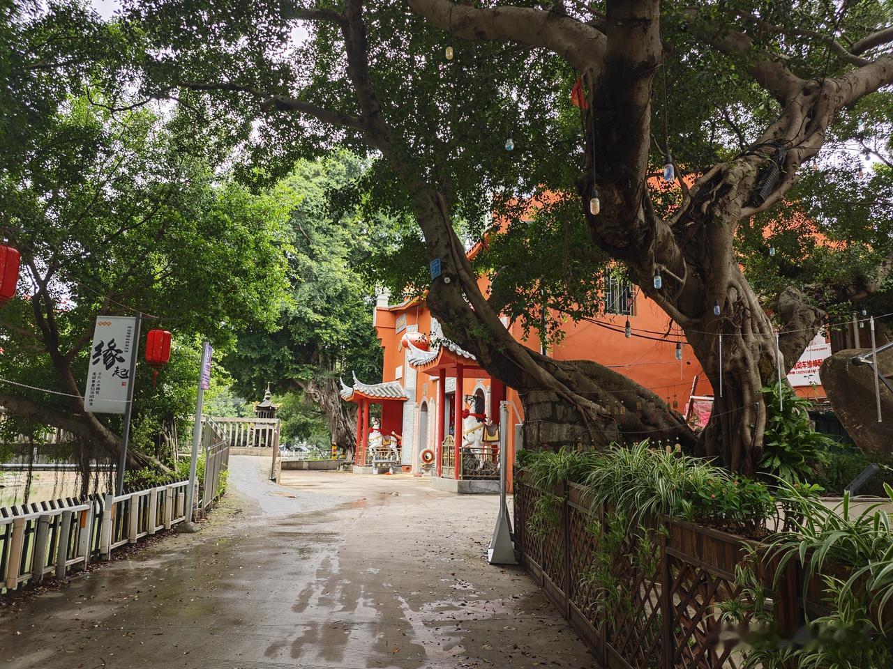 福州晋安松山镇西境白马庙坐主祀白马三郎，也是福州最经典的闽越英雄信仰之一。
白马