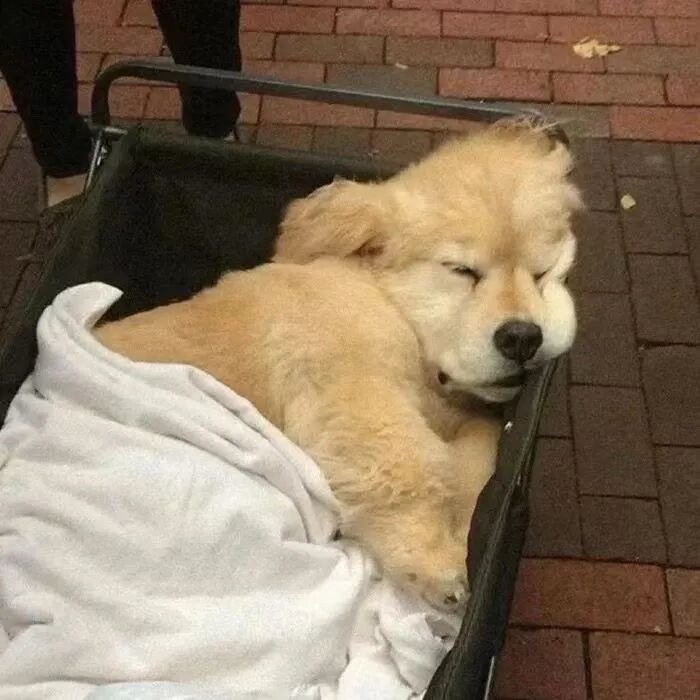 ᰔ 𝗣𝗹𝗼𝗴 ‣讲起道理小嘴叭叭，遇上事情眼泪哗哗🤨 ​​​