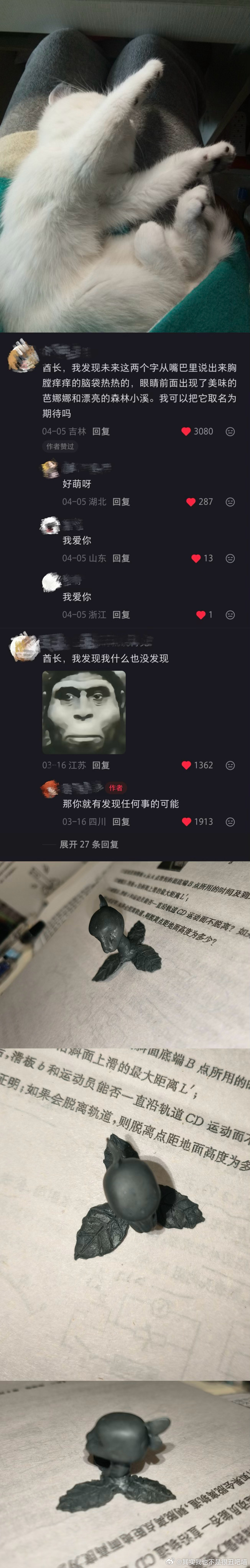 49688【丑猫】终于孝完高孝了，俺满血回归了¯꒳¯ ! ! 这次没有同桌的薄薄