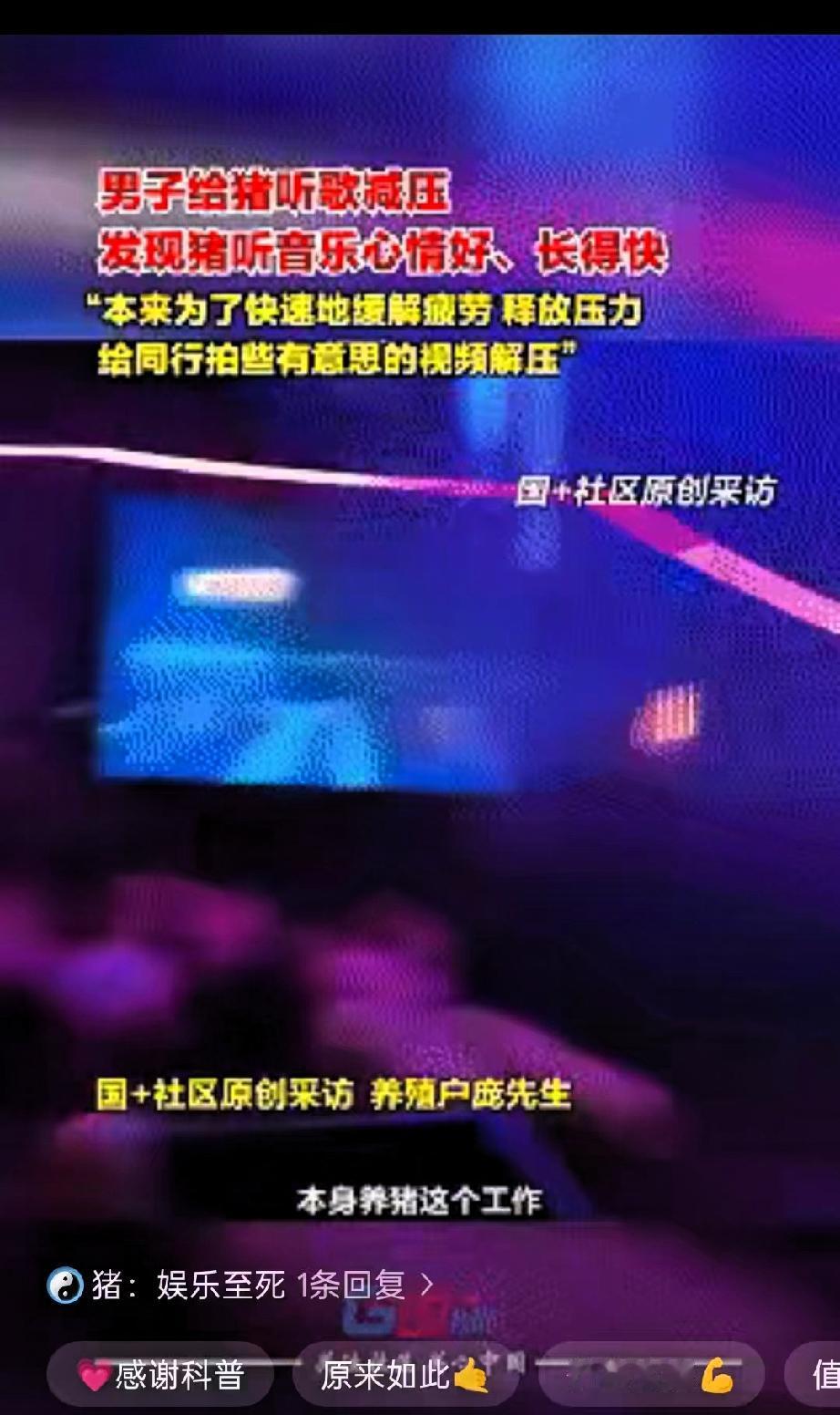 解释不清了！近日广西桂林，男子因为养猪实在无聊，就在猪舍中安装了一套音乐设备，给