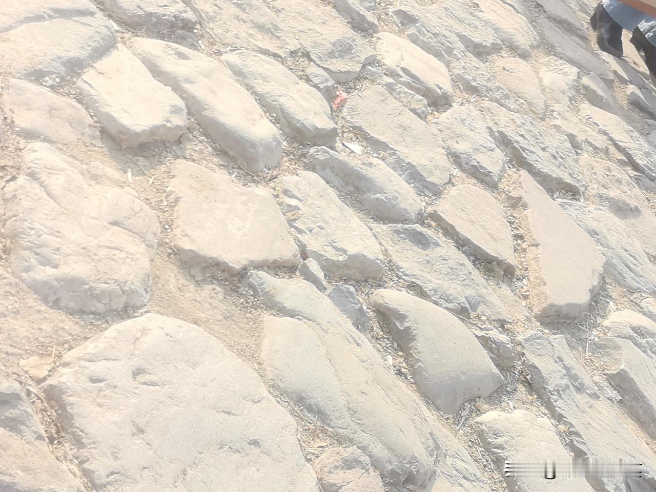 这是一个关于当代青年文化现象的社会观察问题，涉及社会学、心理学和文化研究等多个维