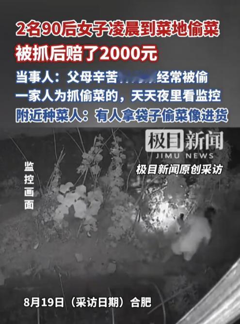 “这下长记性了！”2025年8月，合肥，2名90后女子来到一片菜地，偷偷摸摸的摘