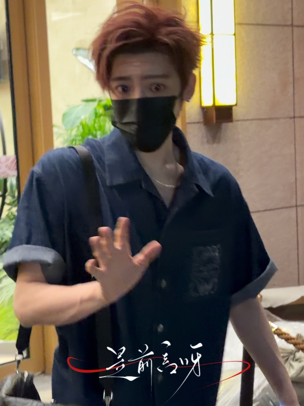 好呆呀 
