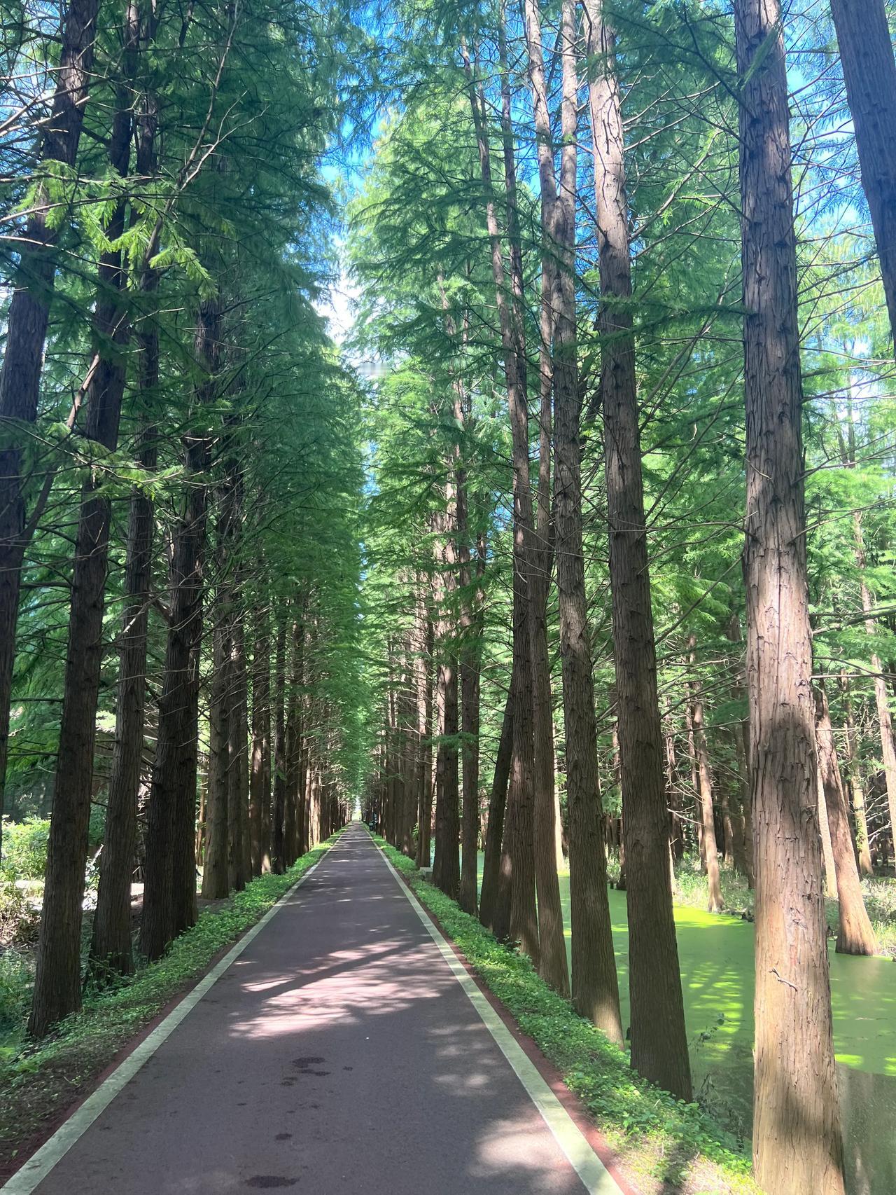 在头条上，千万不要为阅读影响自己的心情。

我在头条上已经两年多时间了。

开始
