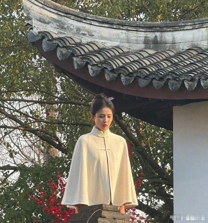 白鹿的第一张照片是导演猫的树拍的 ​​​