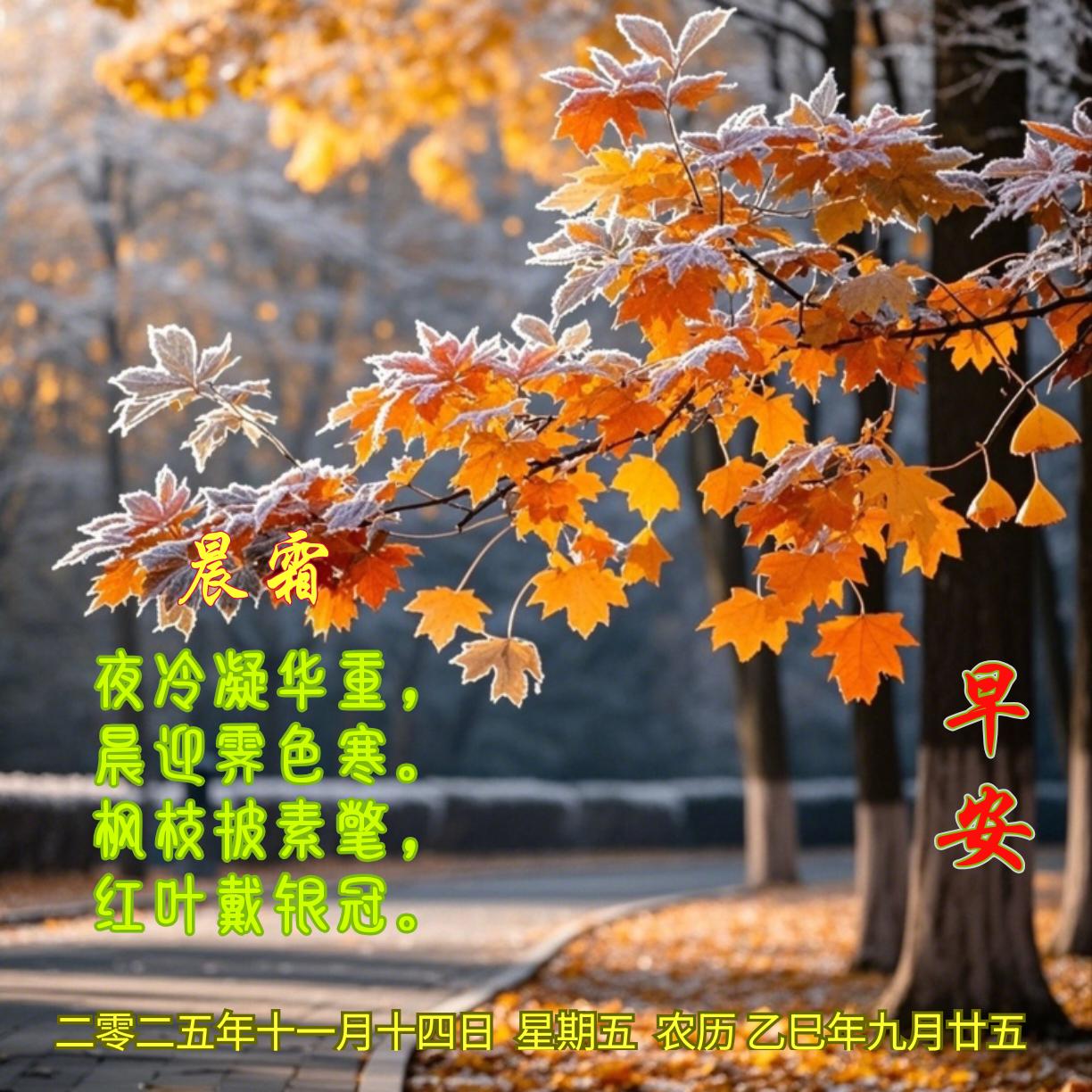 《晨霜》
夜冷凝华重，
晨迎霁色寒。
枫枝披素氅，
红叶戴银冠。