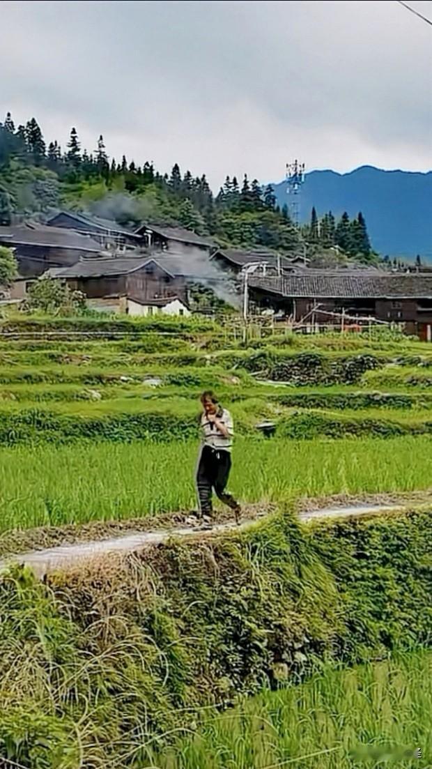 我分享一组乡村美景照片。有松阳杨家堂，它藏在浙南深山，是江南大儒文脉第一村。这里