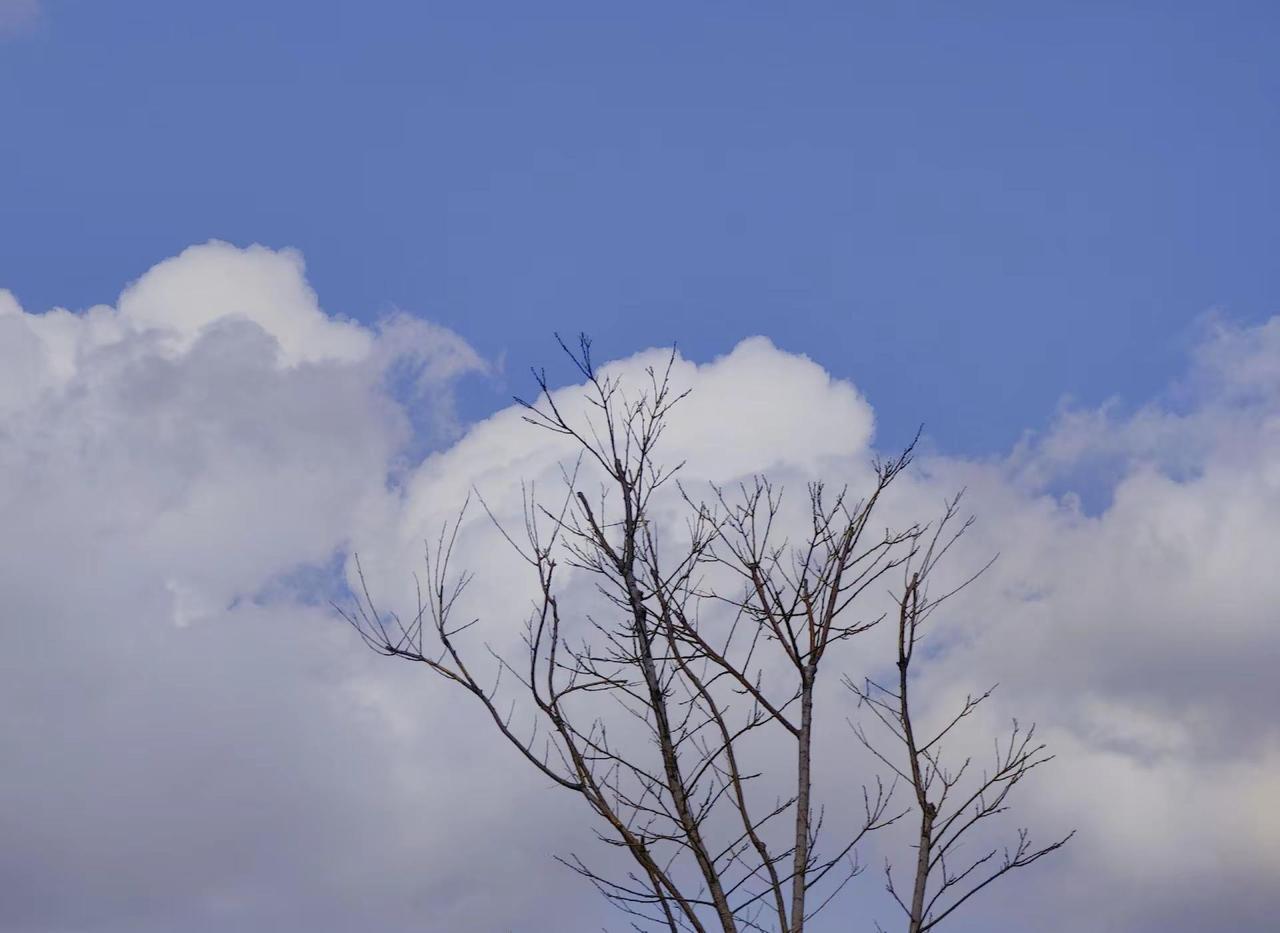 昨天，还以为夏天快到了！今天又在下雪了…白云 蓝天白云晴空万里 蓝天白云定会如期