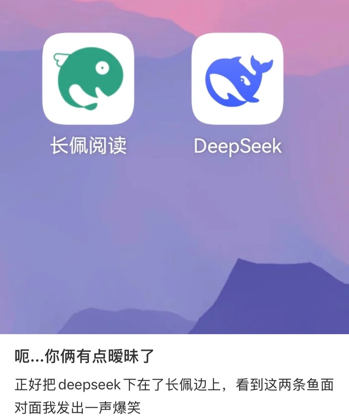 芝士娱乐  deepseek、长佩你俩有点暧昧了[干饭人]🆘这互联网真好磕🤣