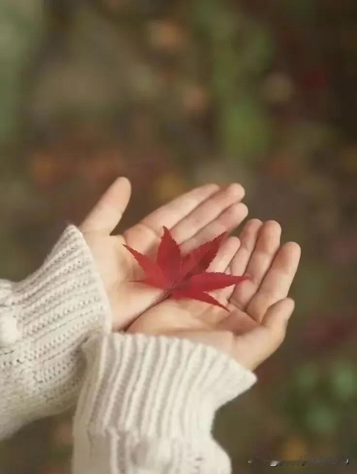 寒风夹带着些许落叶掠过大街，一对男女在路边手挽手走着。女人突然发现的自己鞋带开了