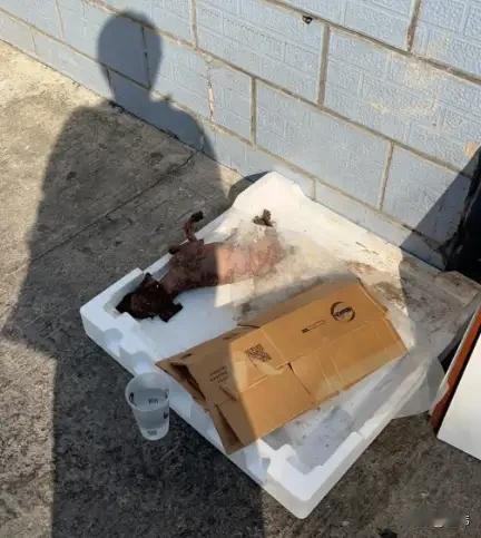 太可怜了！这天一位小哥哥去找朋友玩，当他走动一条小路的时候，看到一只被人遗弃的狗