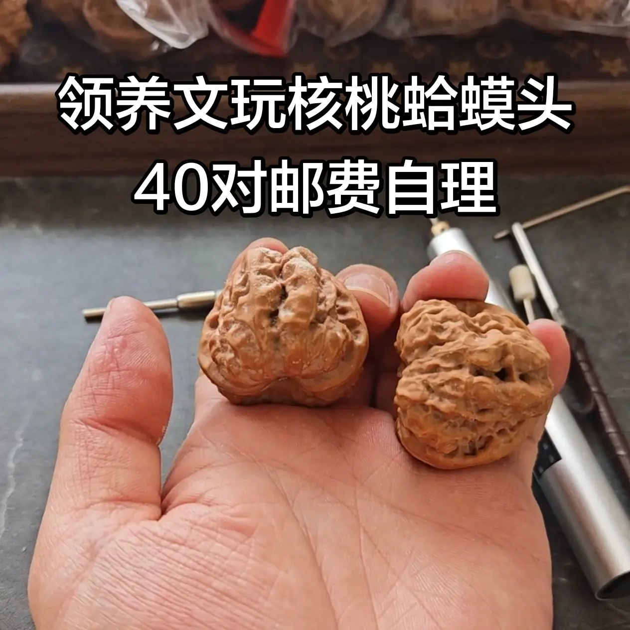 文玩核桃 业余文玩爱好者 新手玩文玩 文玩爱好者日常